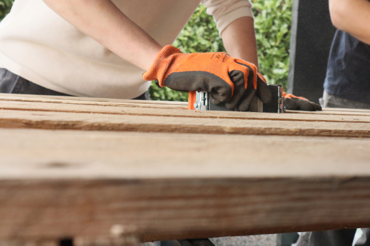 Adobe Express - file (1)